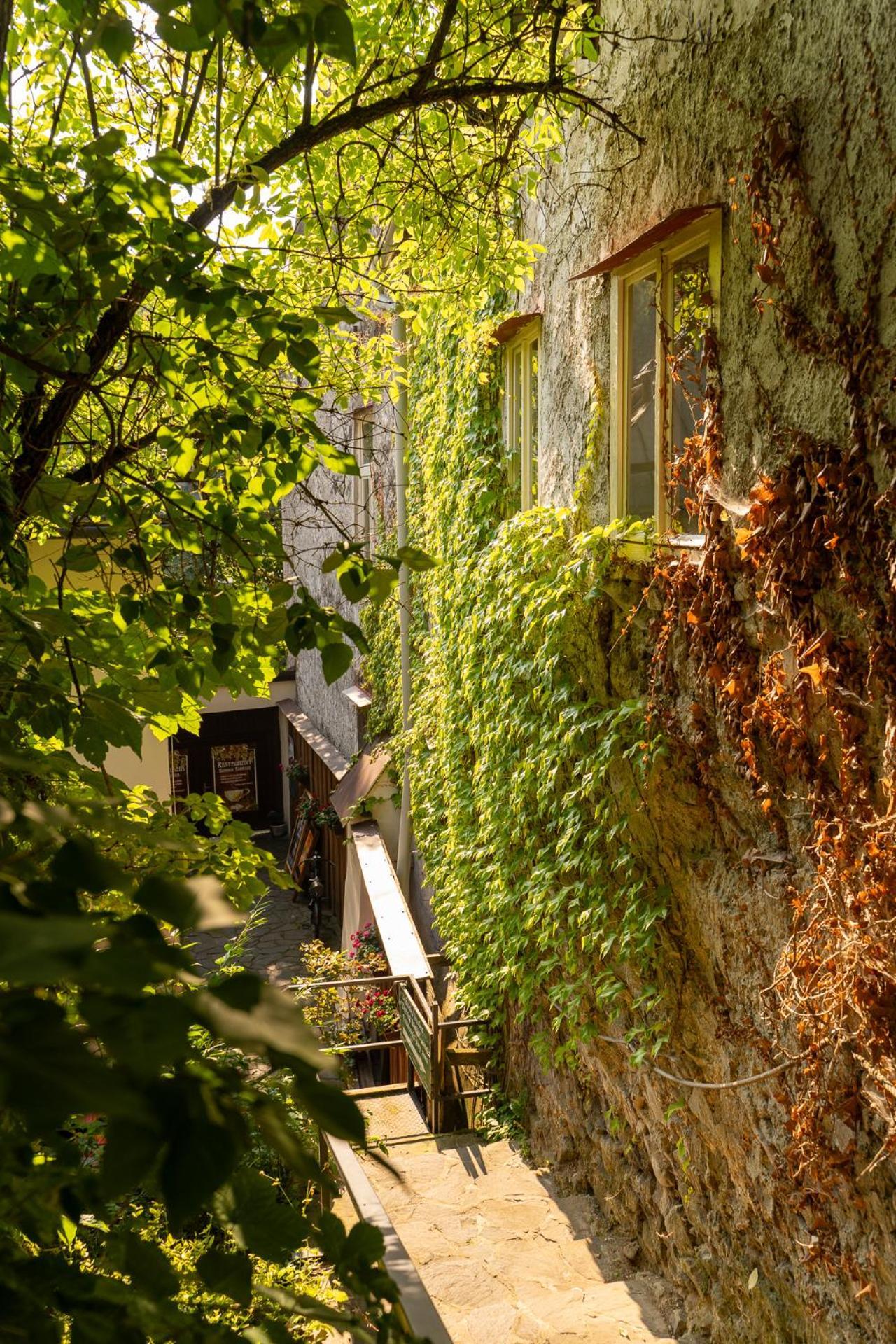 Penzión Príjemný Oddych Banská Štiavnica Exterior foto